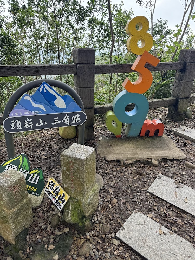 這張圖片主要顯示了一個山頂三角點石柱，旁邊有多個標示「頭嵙山」和海拔859公尺的指標，適合紀念登頂。背景有木欄杆和樹木，顯示這是登山步道的終點。