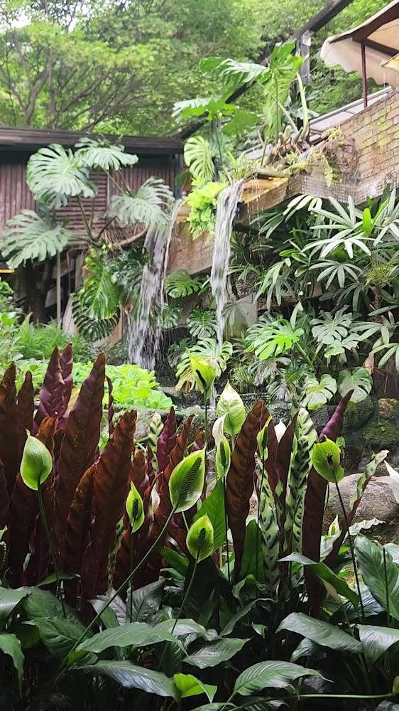 熱帶植物花園與小型瀑布