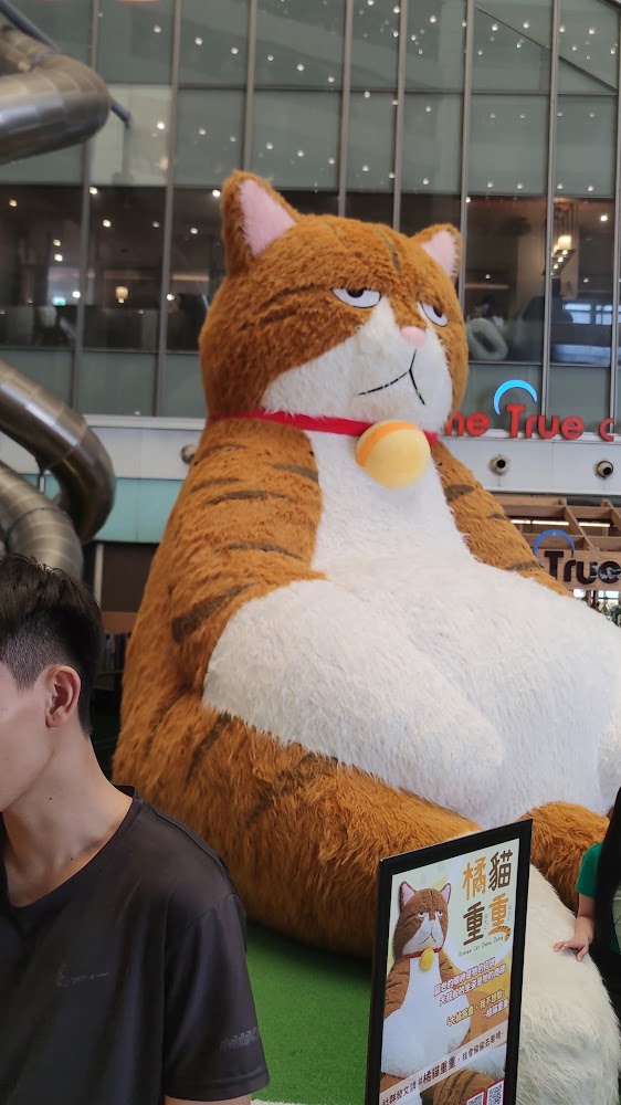 iFG遠雄台中店巨大貓咪裝置