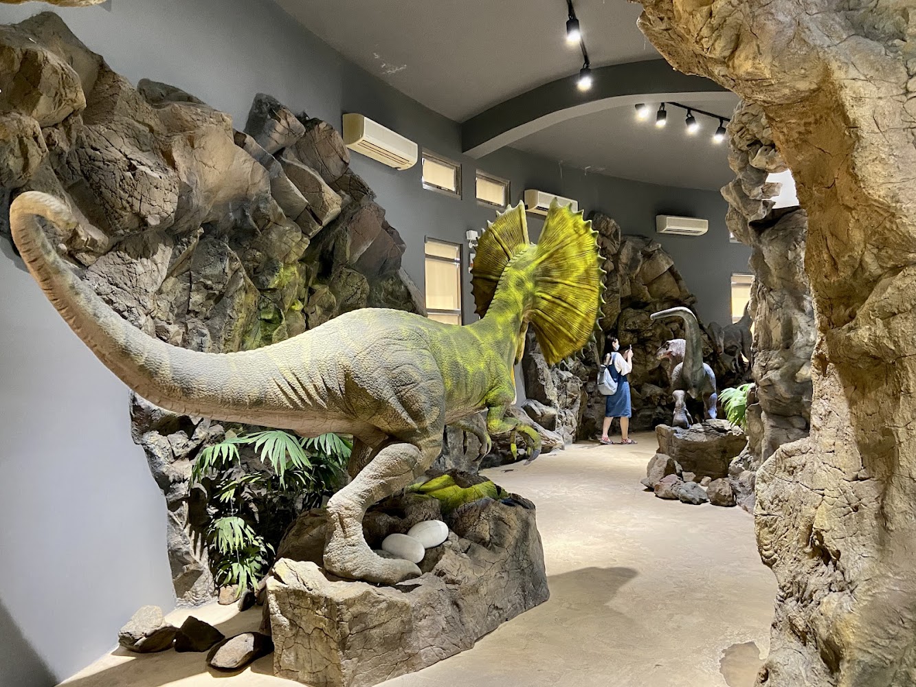 館內恐龍主題展示區