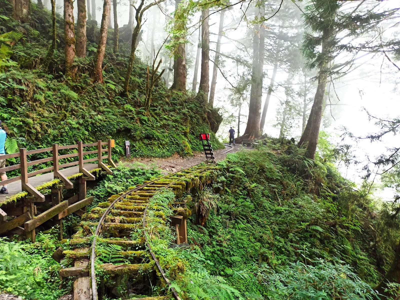 太平山苔蘚鐵道木棧道 見晴懷古步道