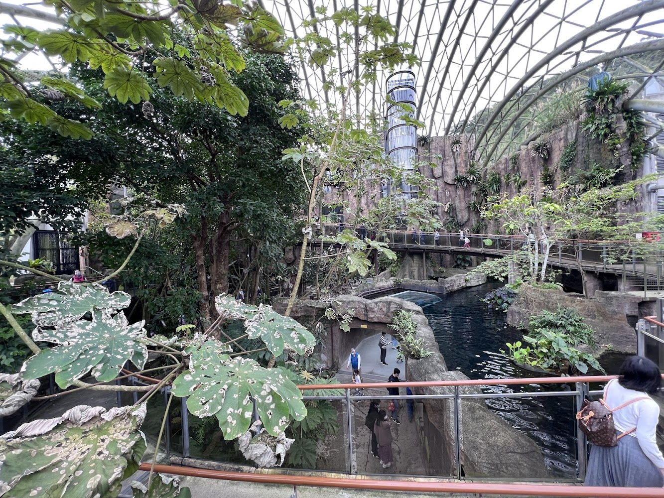 臺北市立動物園熱帶雨林區溫室空間與觀景步道