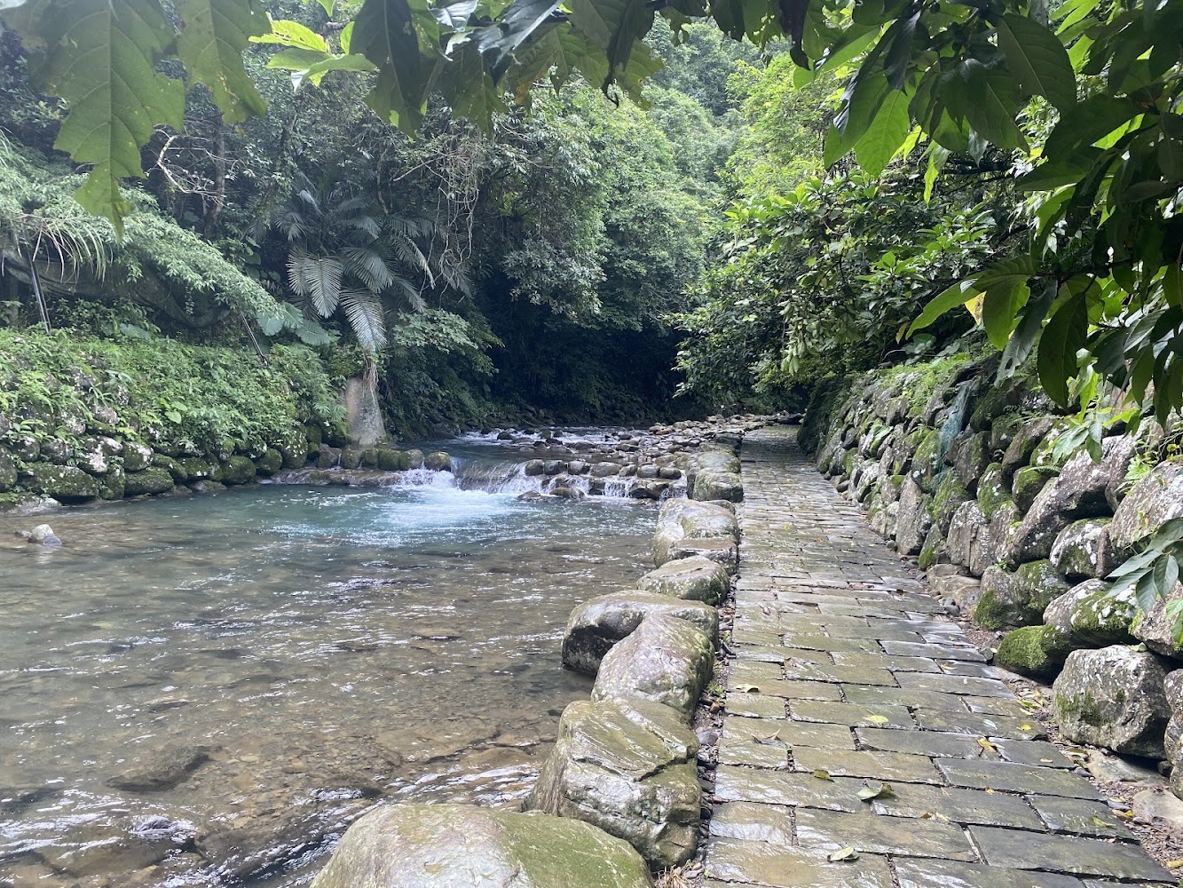 下坑子口溪親水遊憩區清澈溪流與石板步道