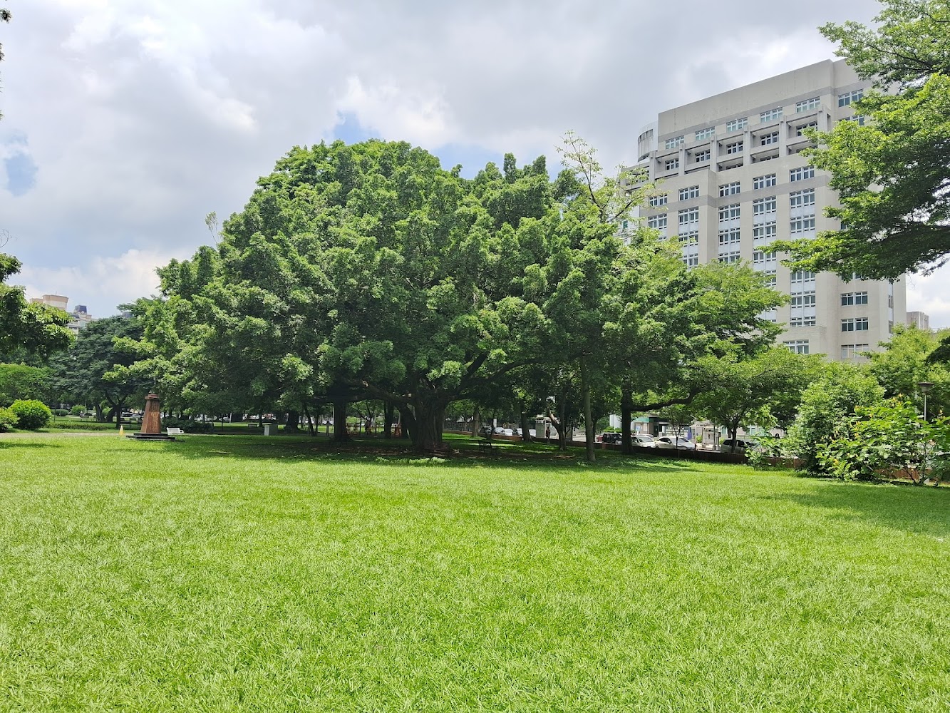 綠意盎然的公園與大片草地