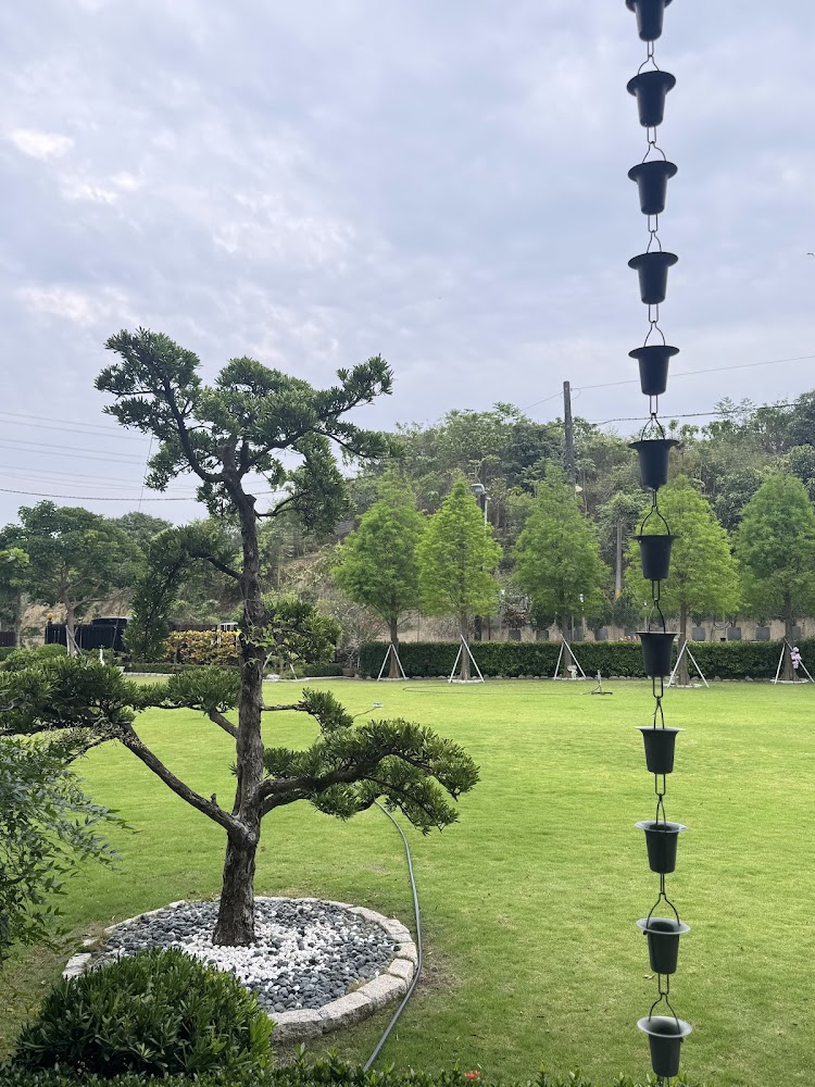 葉媽的莊園白天大草坪與雨鍊造景