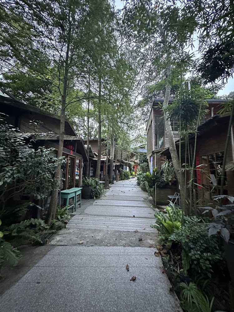 兩旁綠意包圍的小巷步道與木造房屋