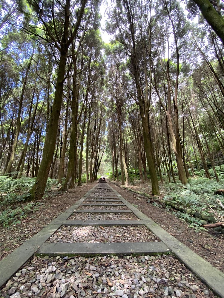 森林步道與石板路
