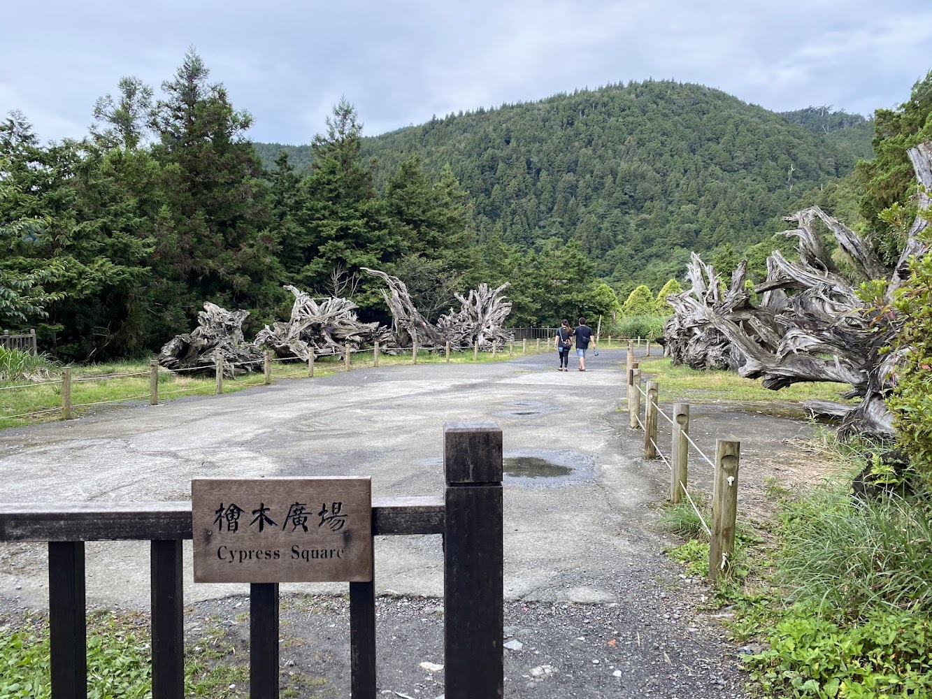 檜木廣場與戶外森林空間