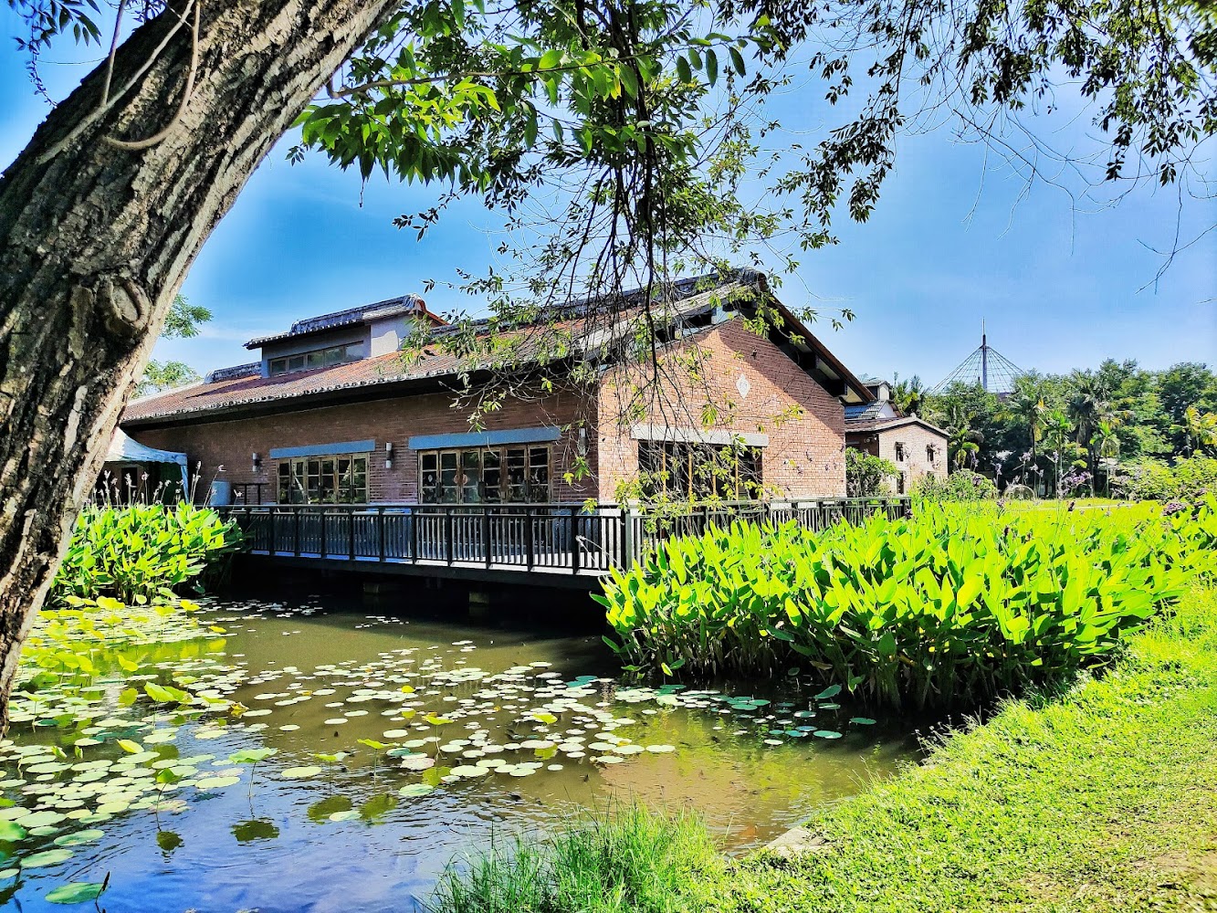 這張圖片主要有一棟紅磚建築，前方有池塘和大片綠意植物，池塘裡有許多荷葉，整個環境清新自然，天氣晴朗。
