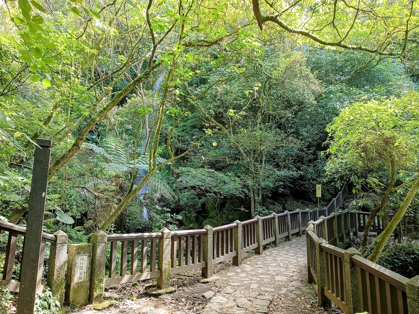 陽光灑落的石板步道