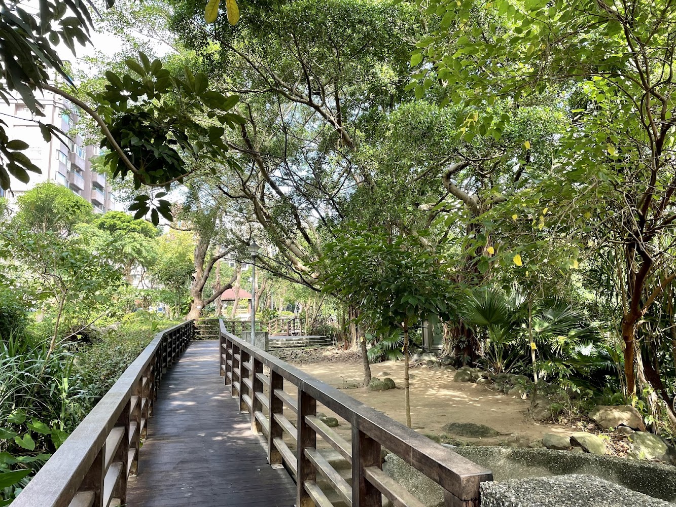 木棧道兩側被茂密樹木與綠色植物包圍，遠處可見建築物