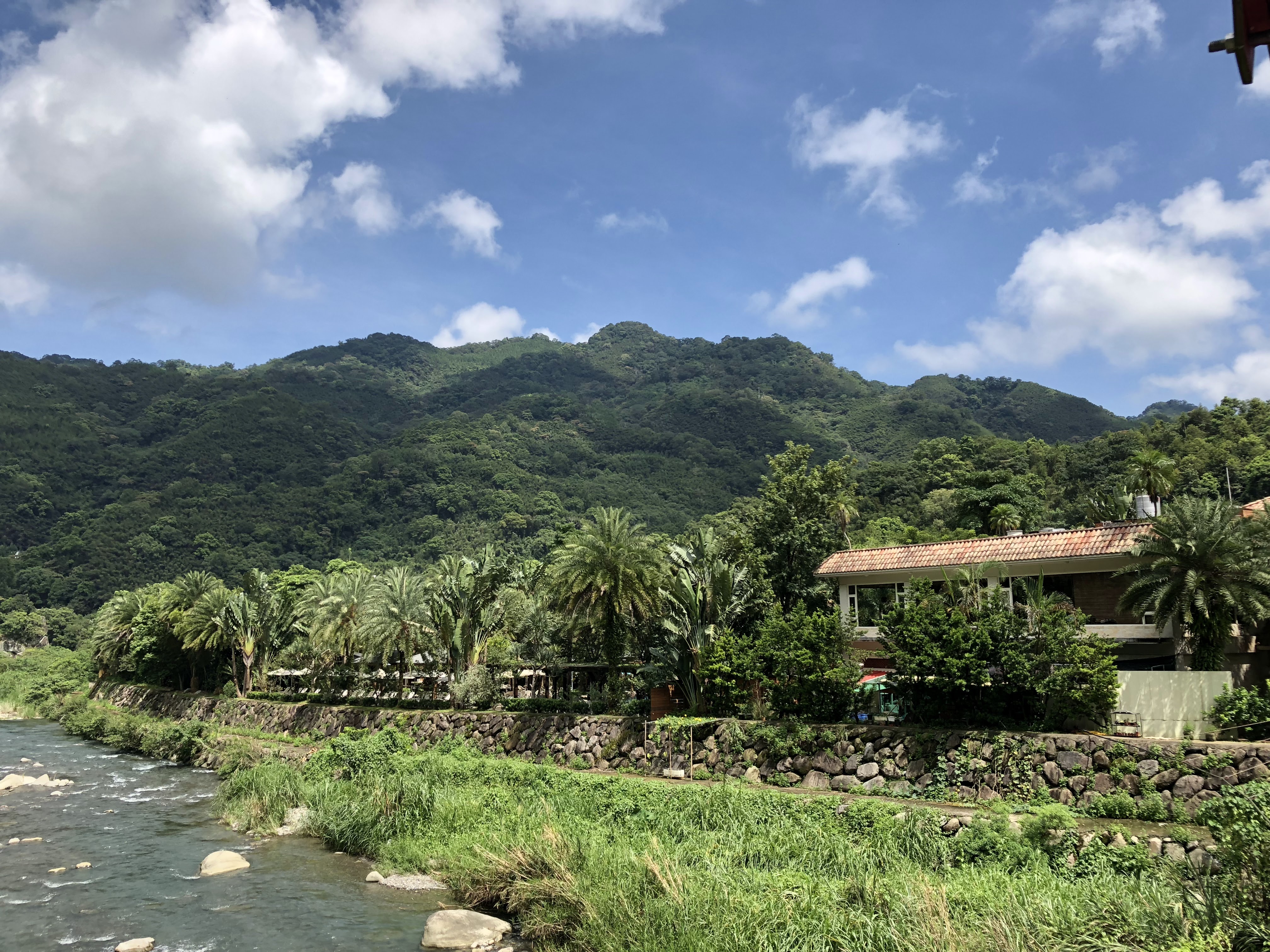 會來尖石溫泉渡假村周邊山脈藍天河流與棕櫚樹景觀