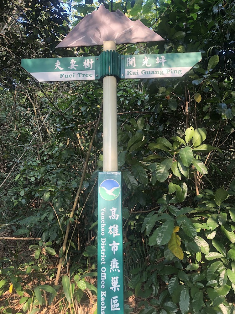 雞冠山步道指示牌夫子樹與開光坪