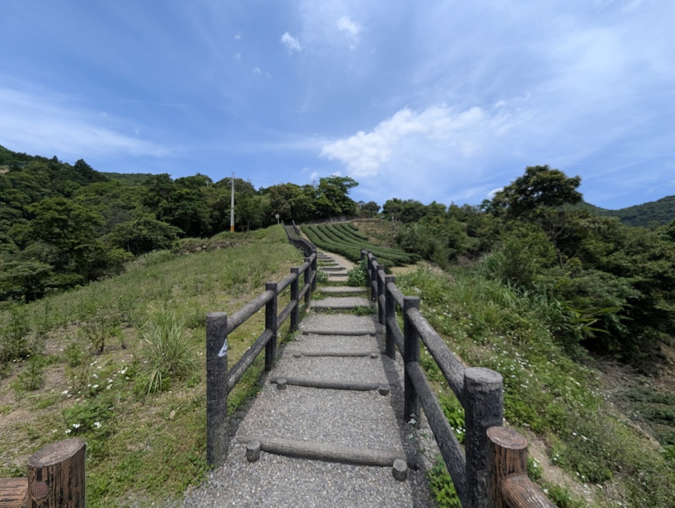 南山寺景觀平台步道階梯與茶園