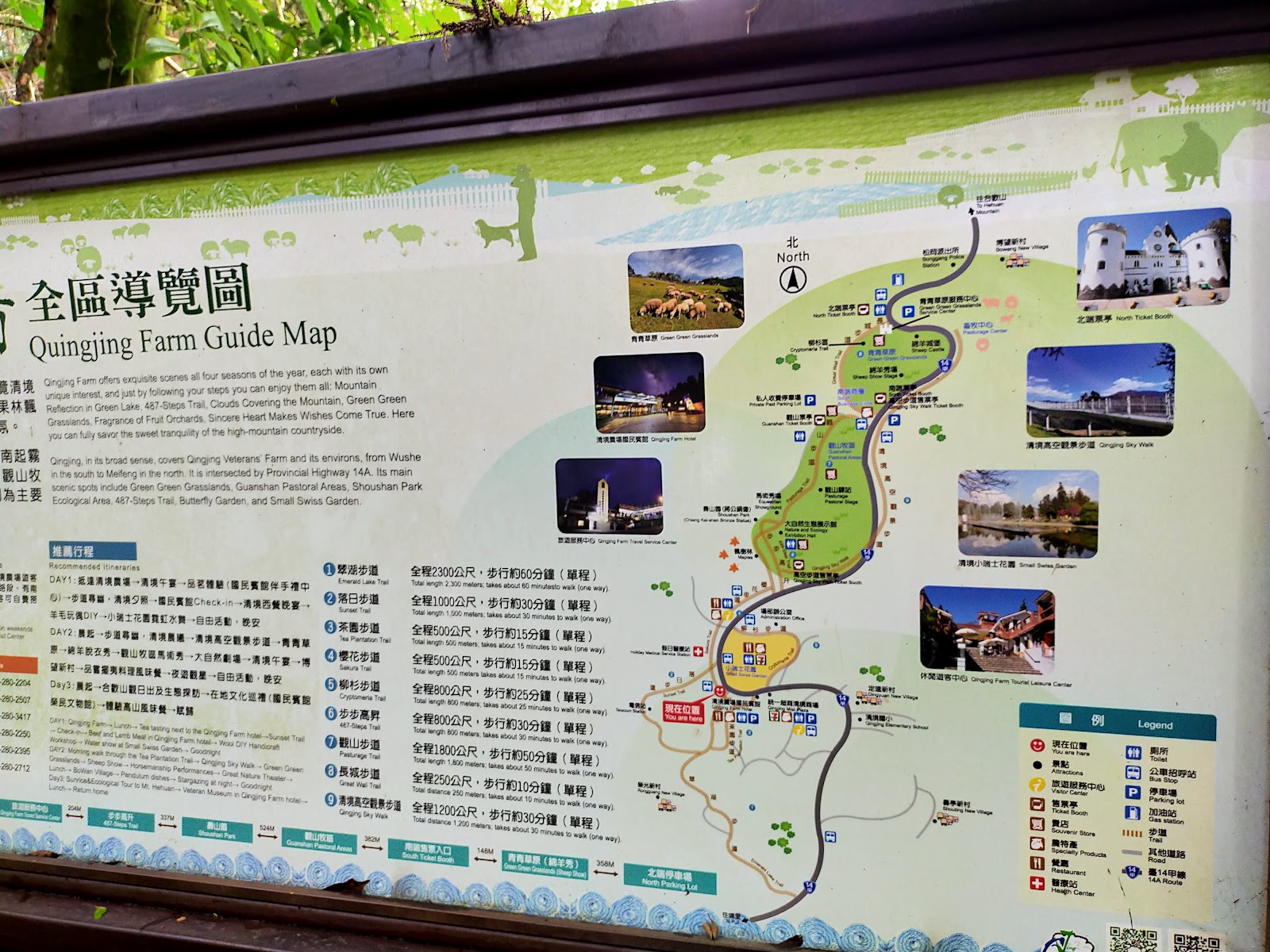 清境農場全區導覽圖步道地圖