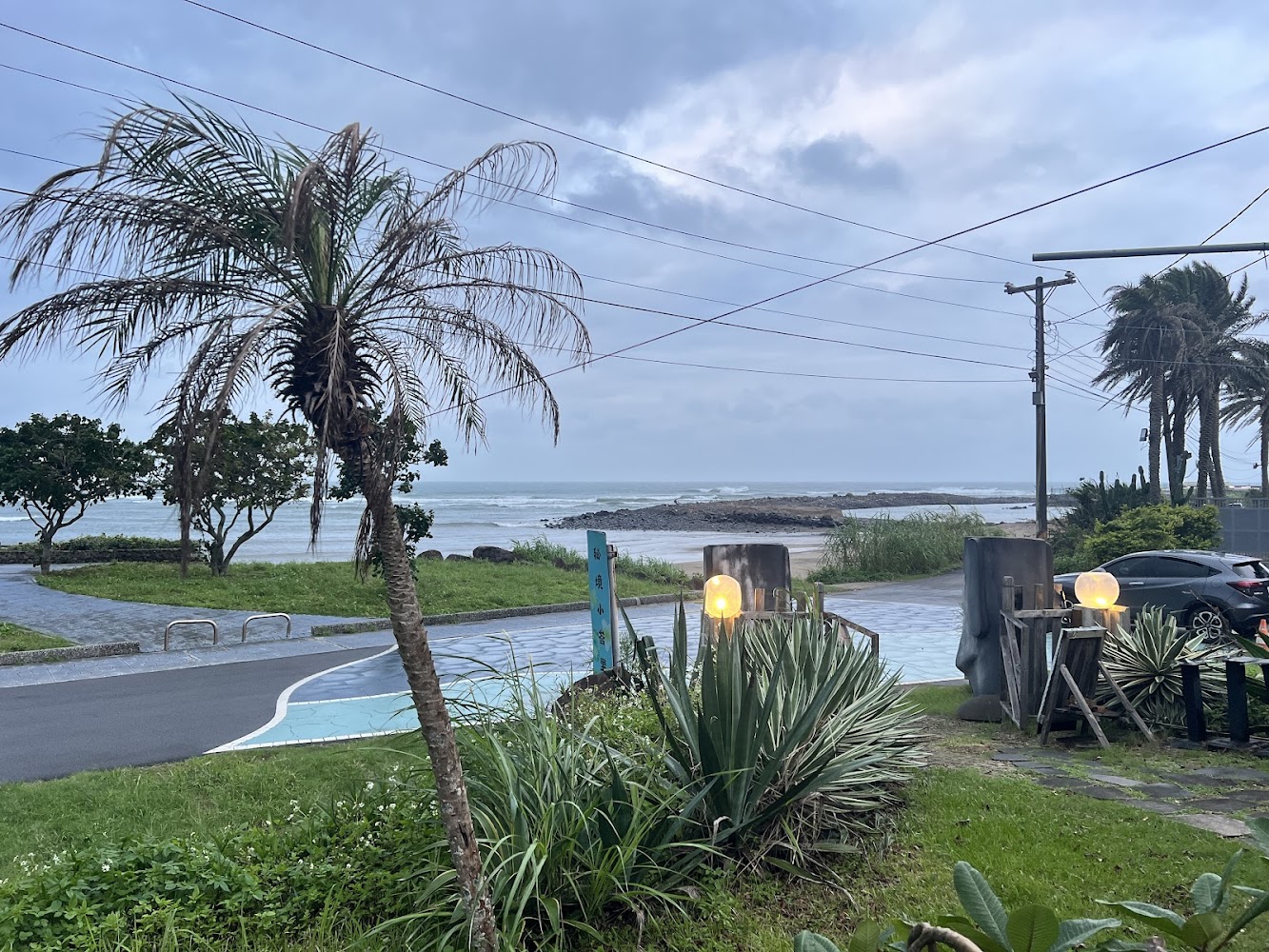 椰子樹、綠色植栽和大海背景，畫面中還有道路及停放車輛