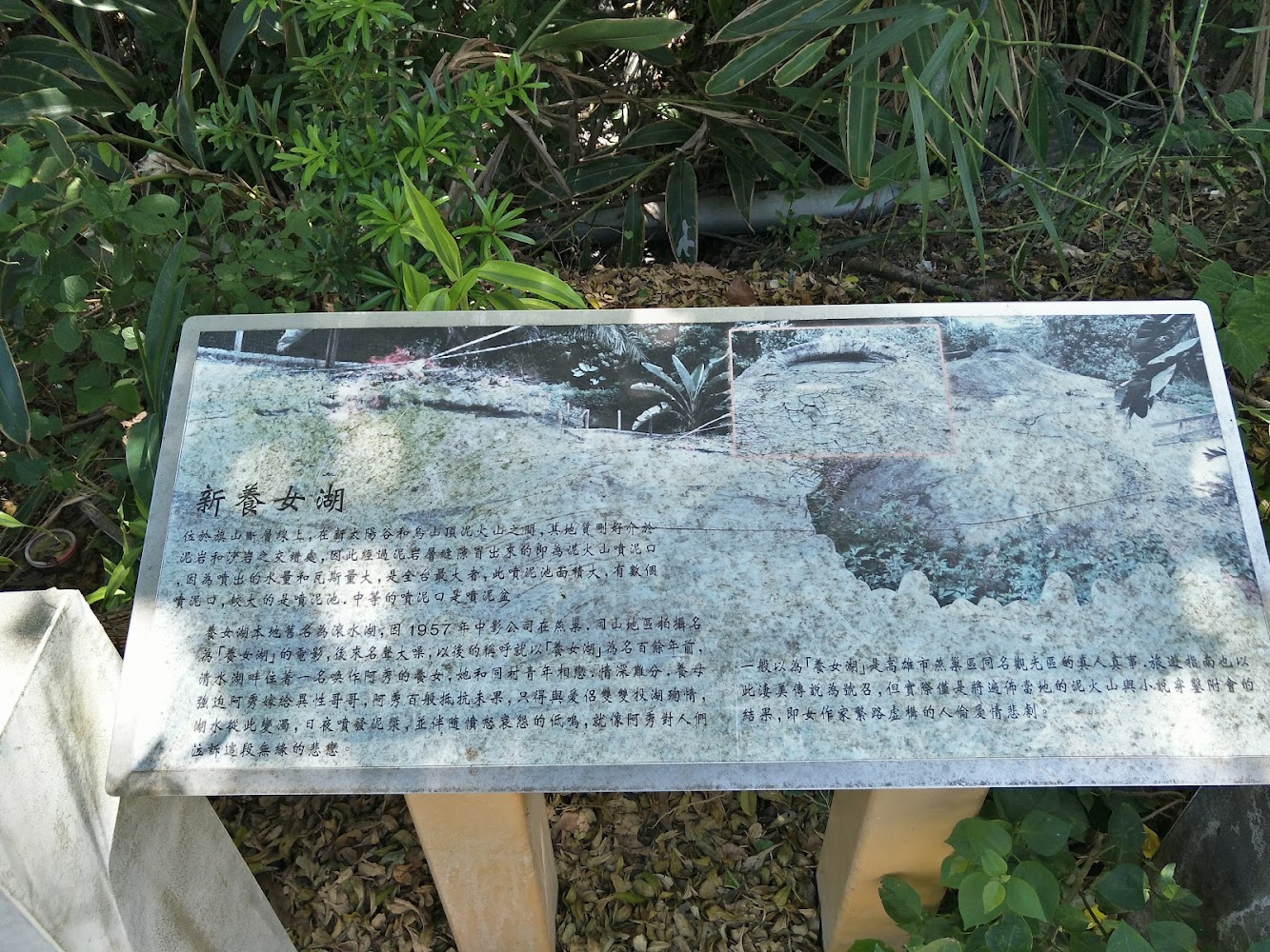 介紹新養女湖的解說牌