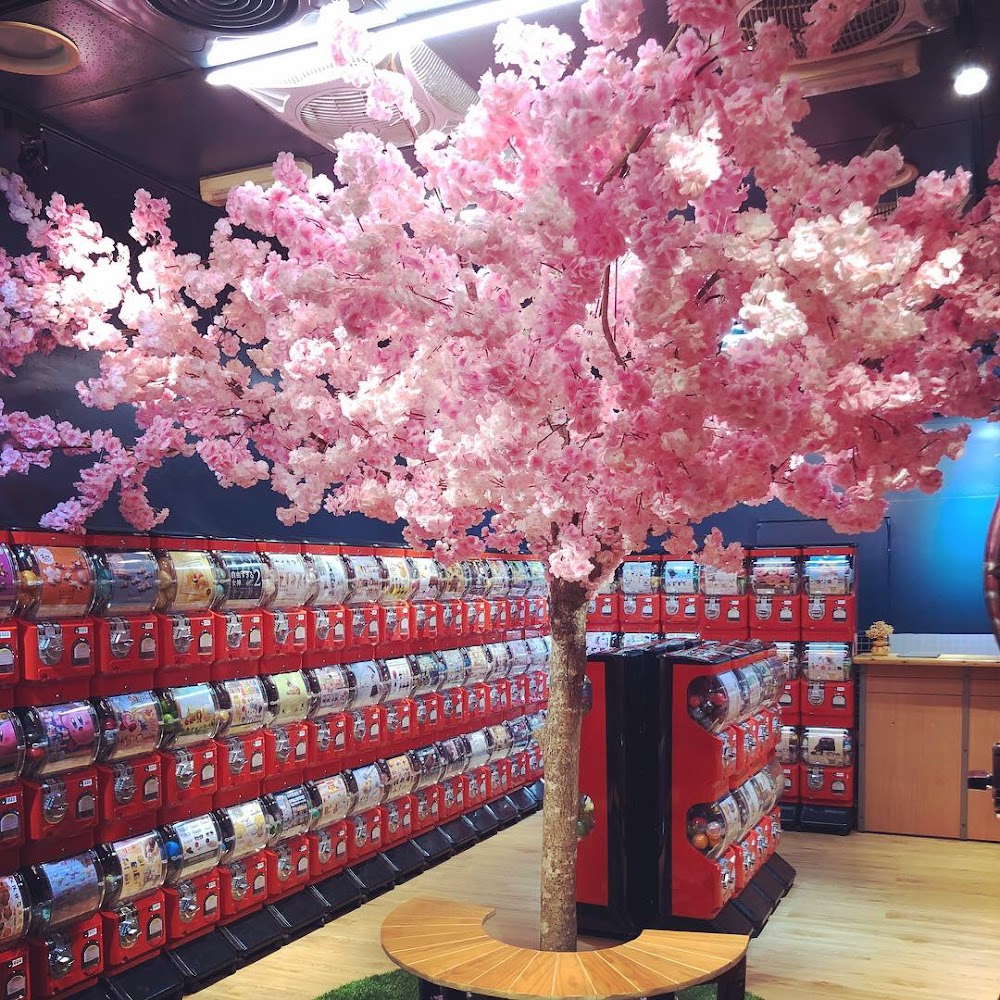 星扭蛋店櫻花樹與大量扭蛋機