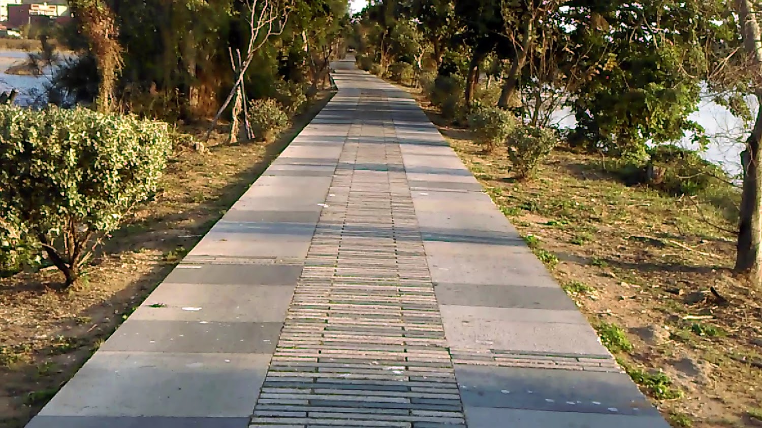 陵水湖賞鳥步道林蔭步道
