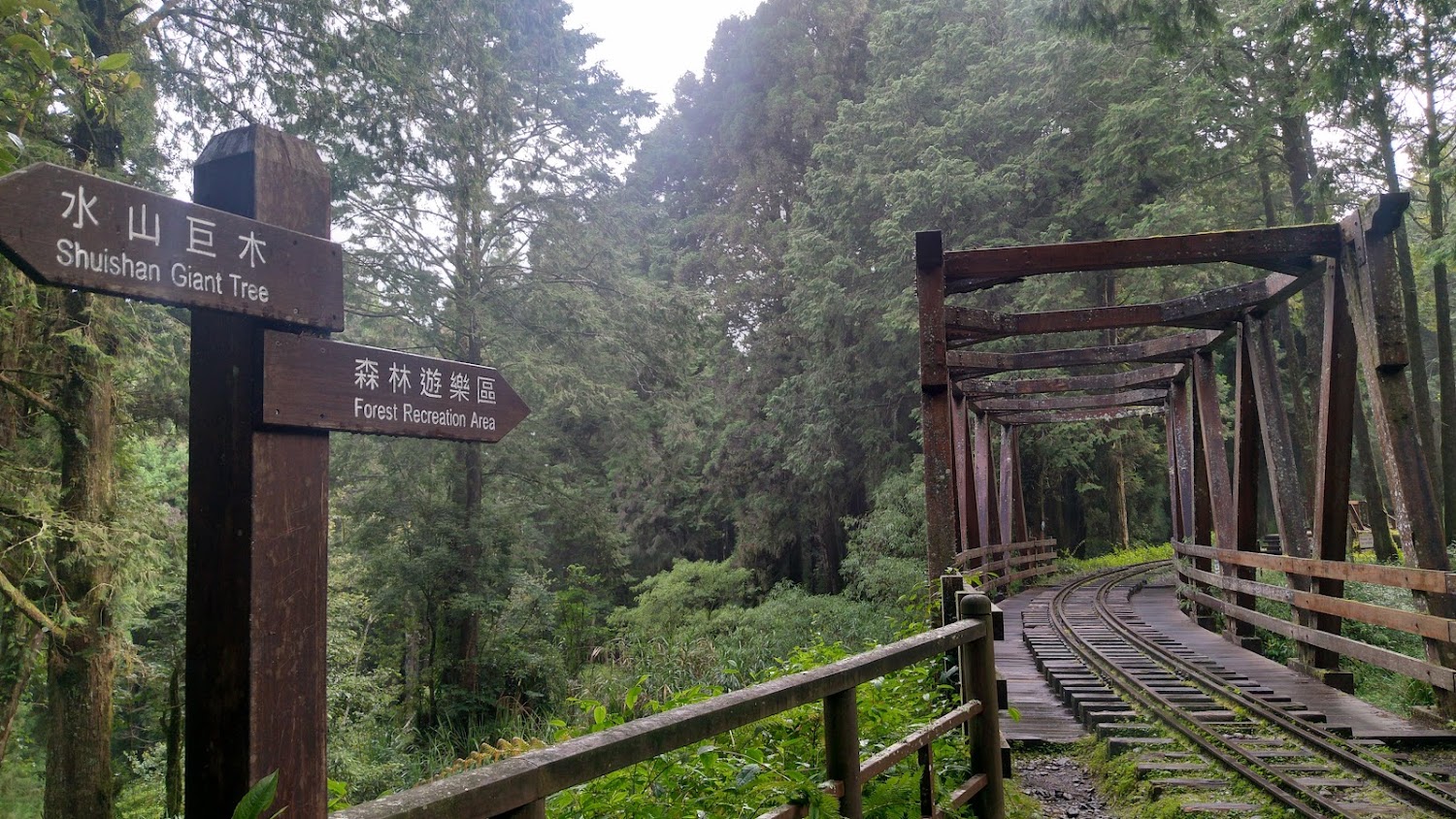 水山巨木步道指標與木橋