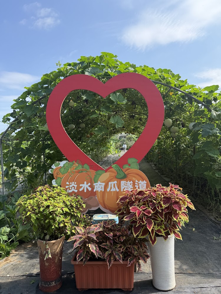 愛心造景與淡水南瓜隧道牌子