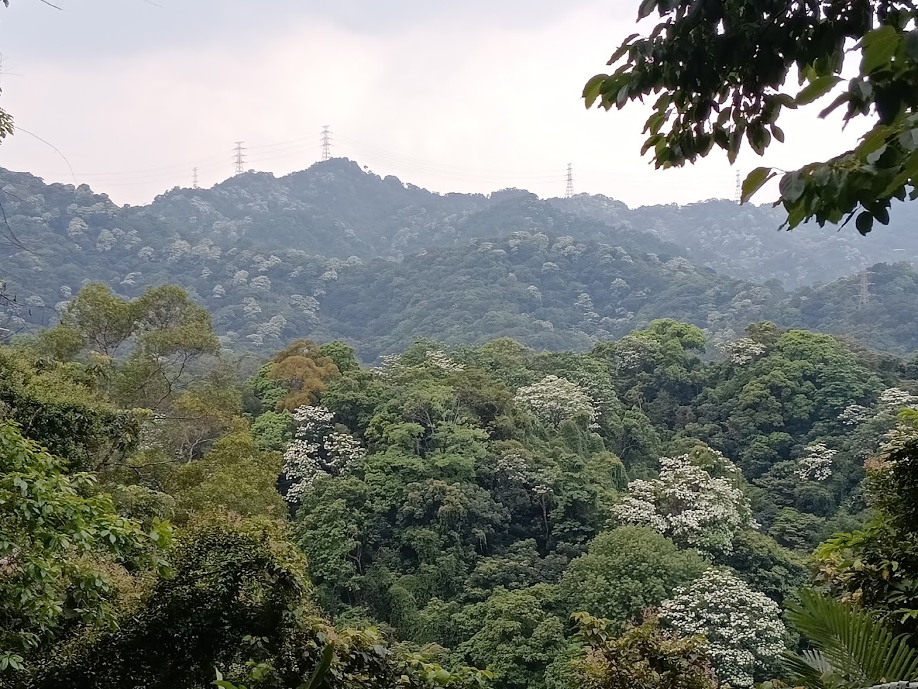 青龍嶺周邊山景