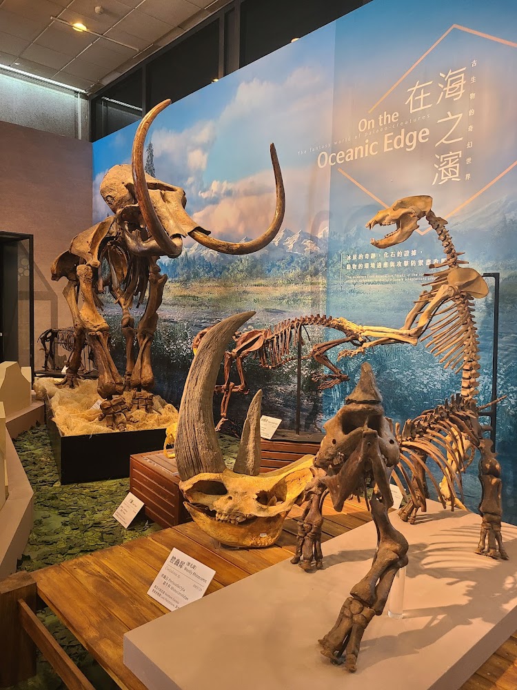 國立自然科學博物館生命科學廳內的大型史前動物骨骼展品
