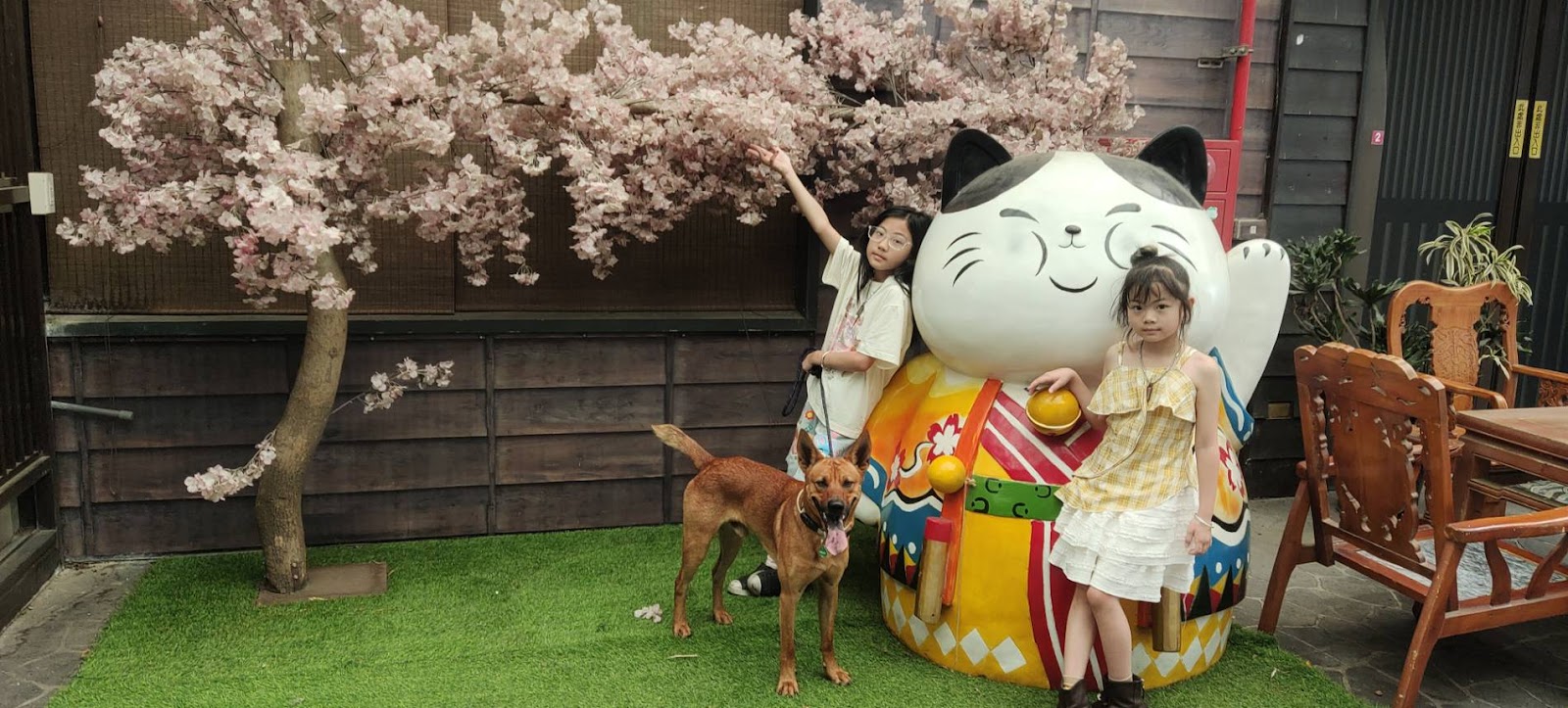 紙箱王創意園區仿日式木構建築粉色仿造櫻花樹招財貓造景台中親子