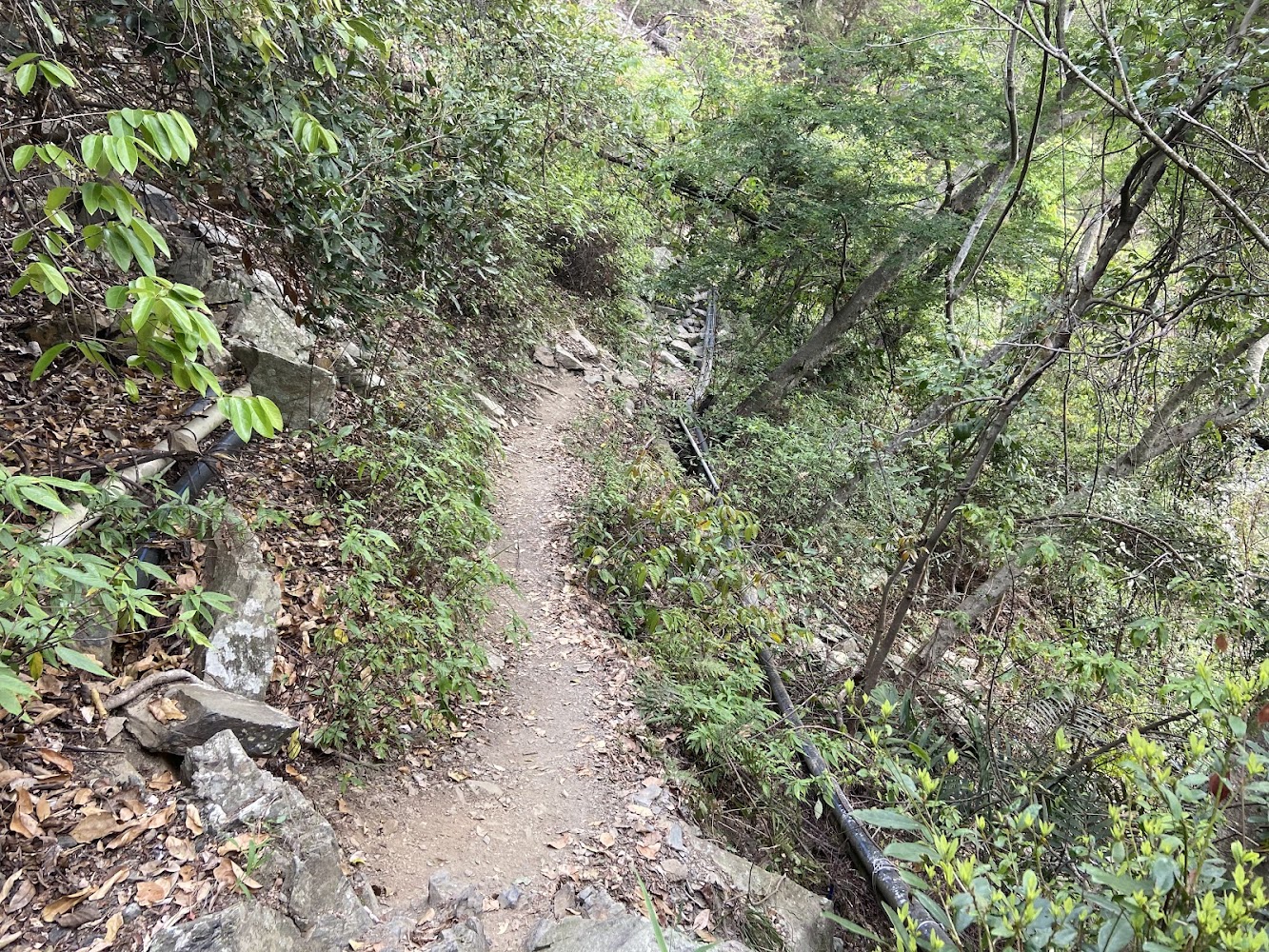 屋我尾山步道林間山徑