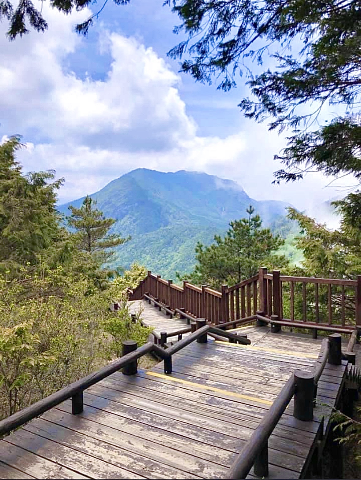 木棧步道被樹木與山景環繞