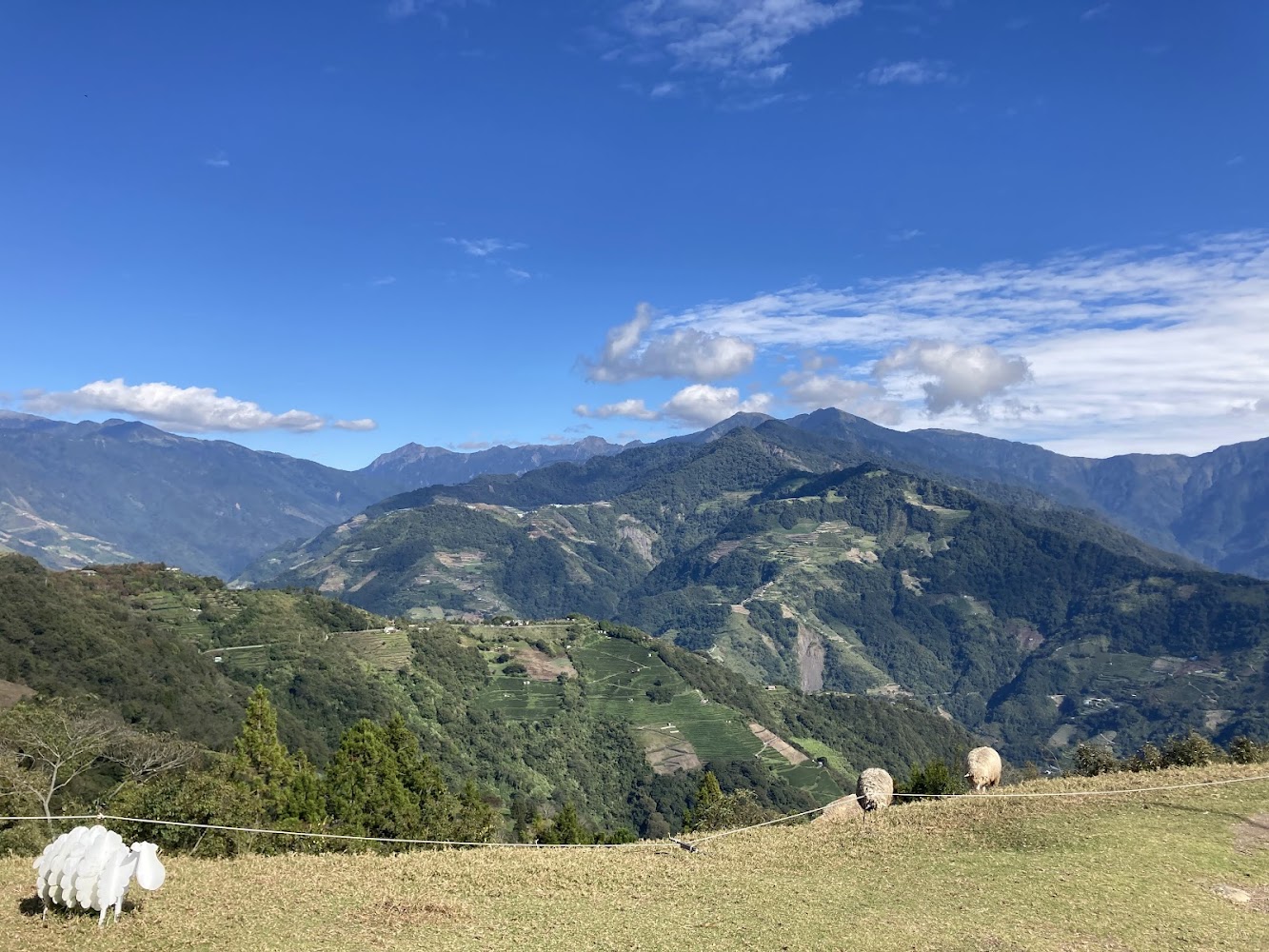 觀山牧區羊與山景裝置