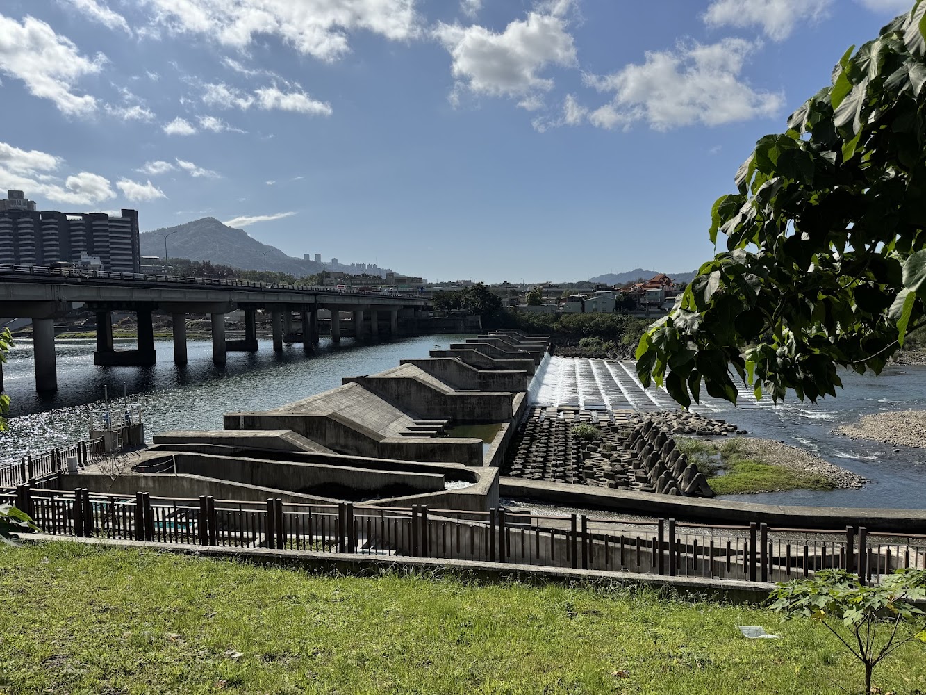 碧潭堰魚道周邊河景