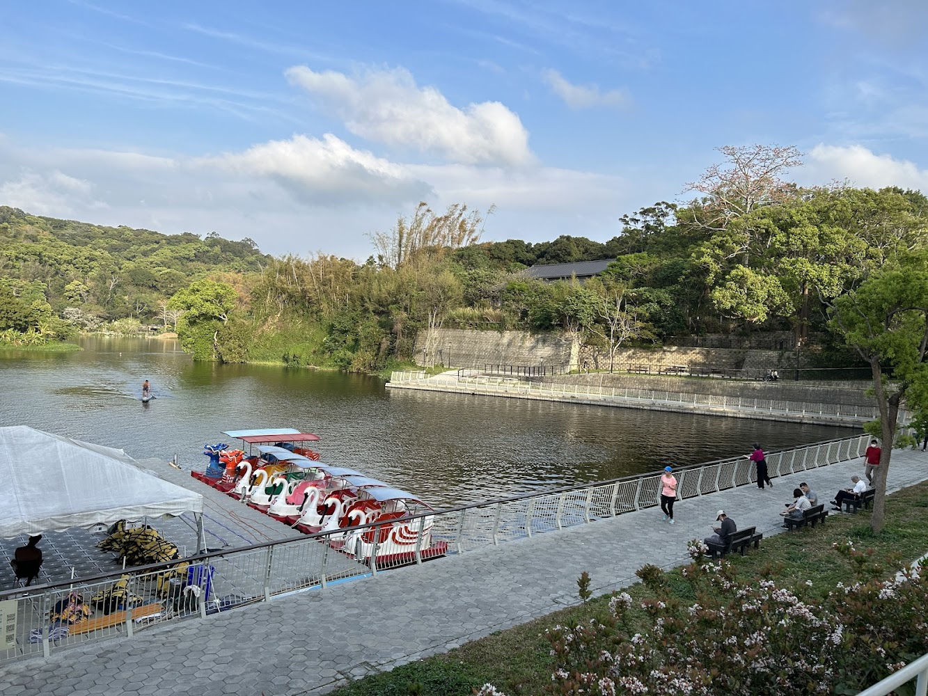 青草湖天鵝腳踏船停靠岸邊與步道景色
