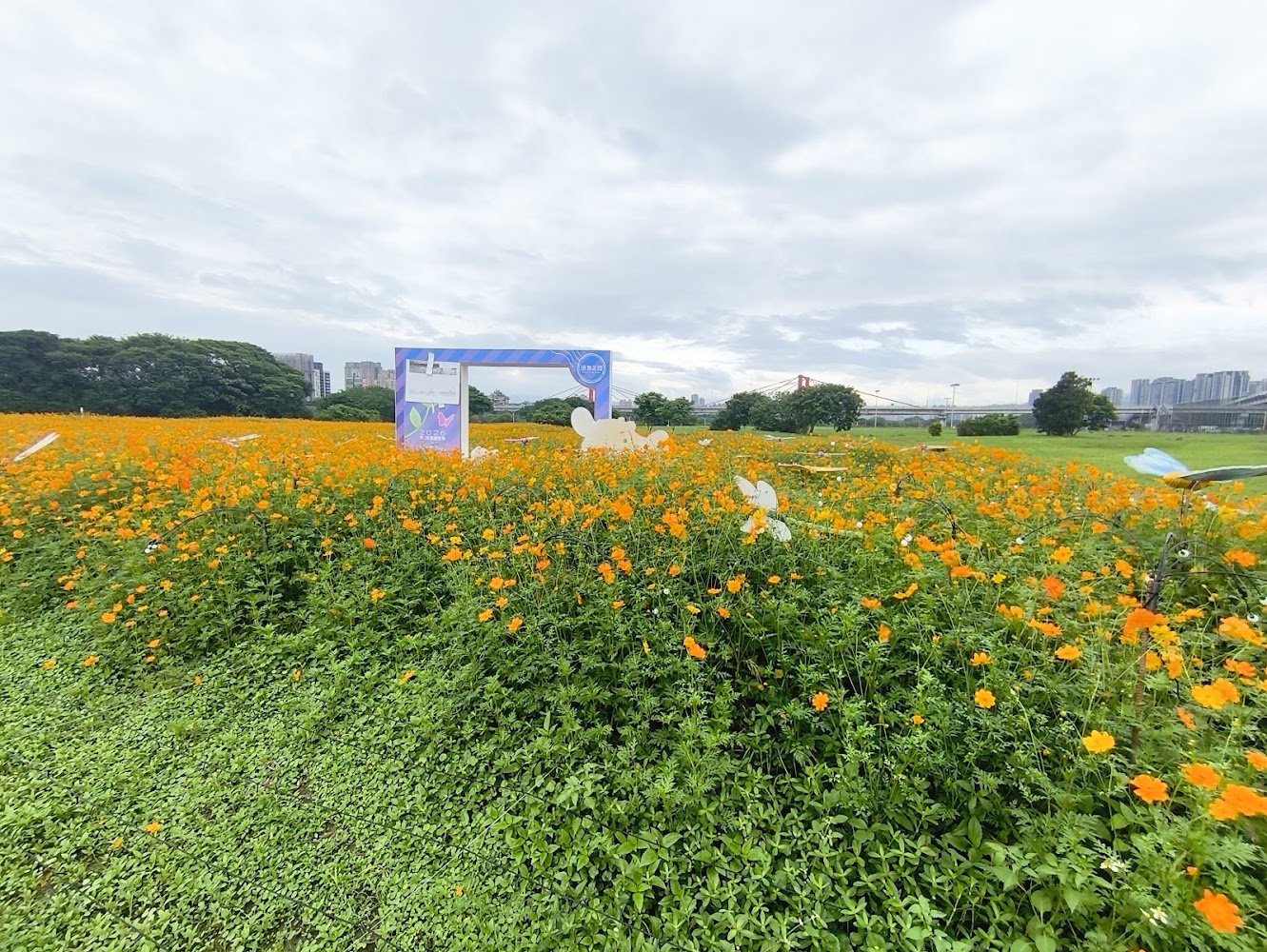 這張圖片展示了一大片盛開的黃橙色花田，花田中央有裝飾門框和幾個蝴蝶造型裝置，背景可見樹木、城市建築和遠處的吊橋，整體景色充滿自然與生機。