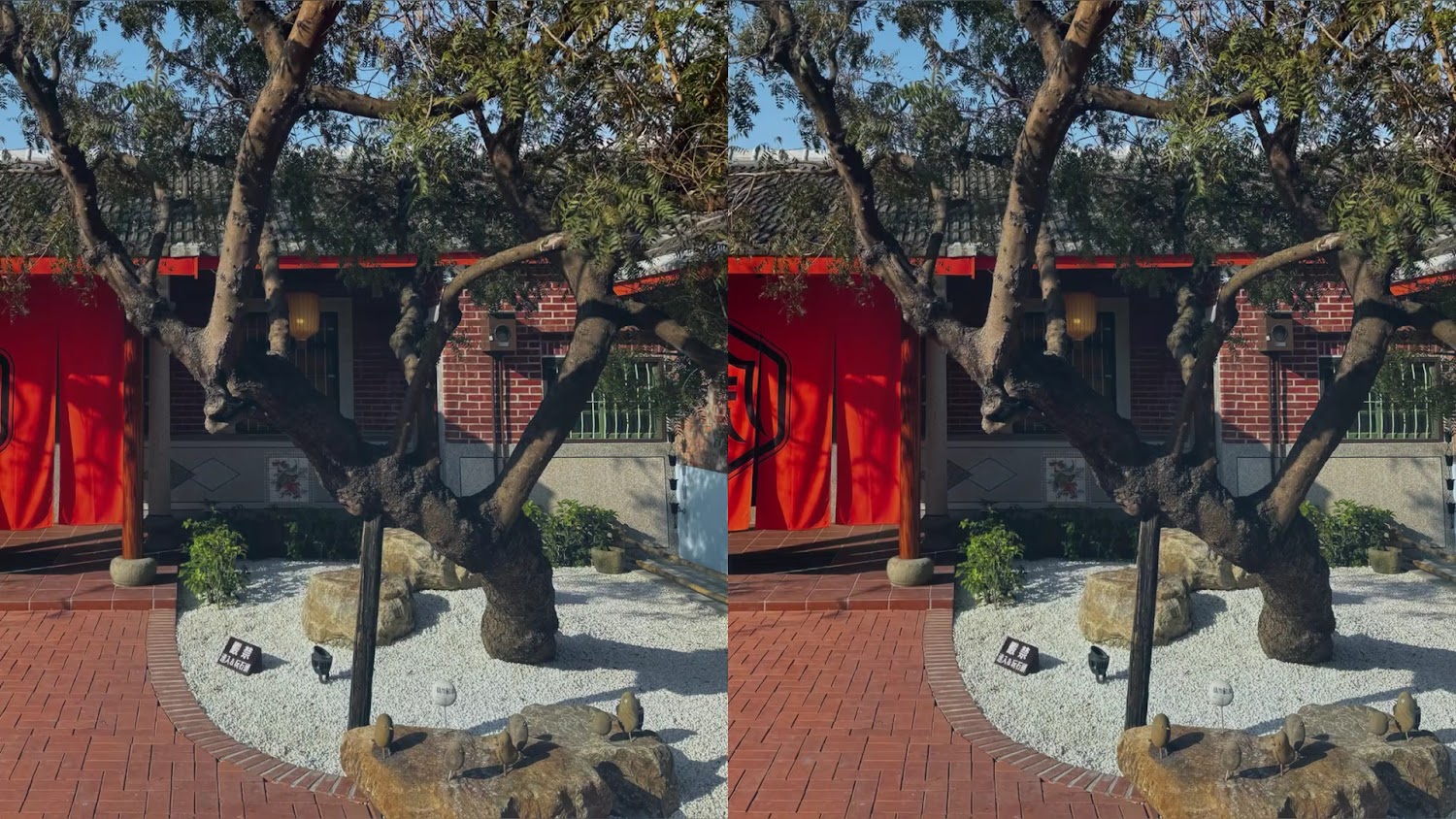 虎珍堂森之院庭園大樹與日式石景