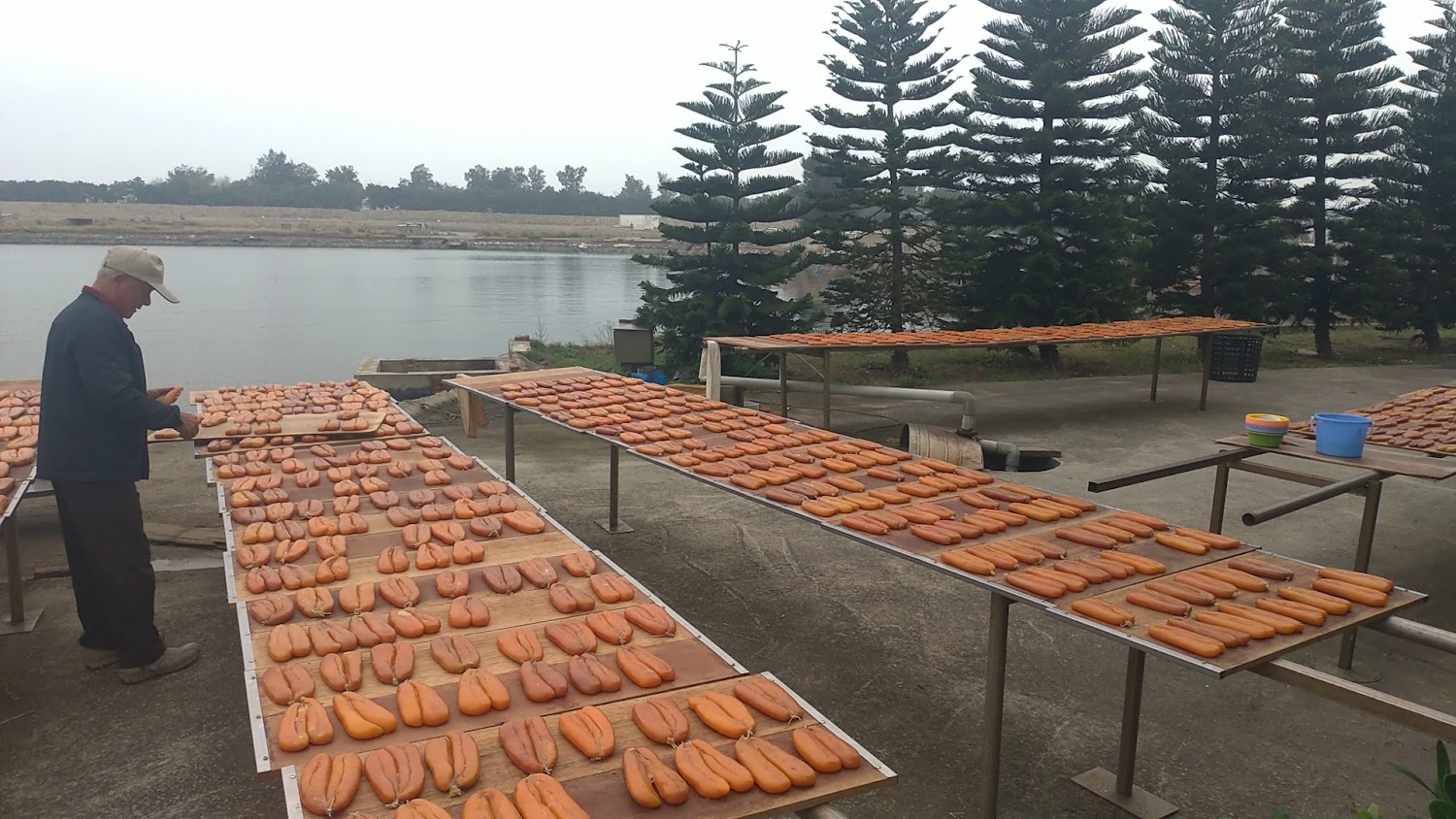 竹魚水產戶外曬烏魚子場景