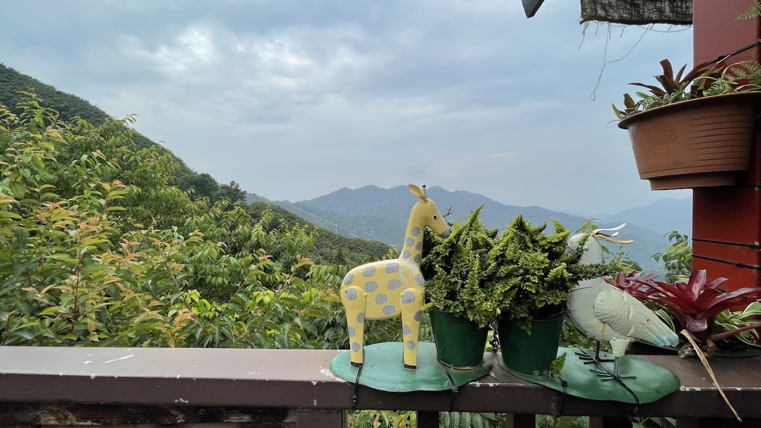 盆栽與長頸鹿裝飾前方的遼闊山景