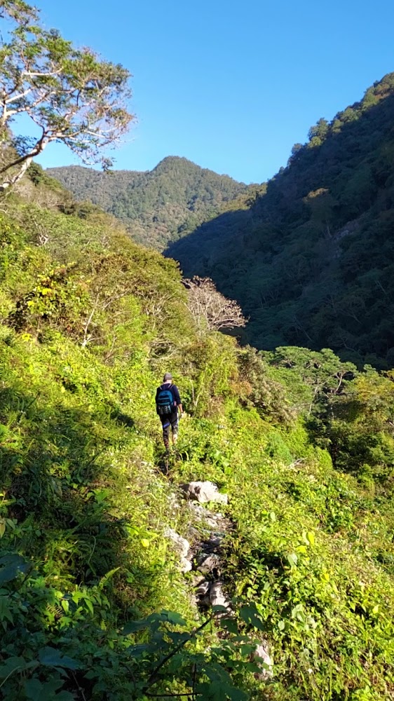 登山者行走在屋我尾山綠意山徑上
