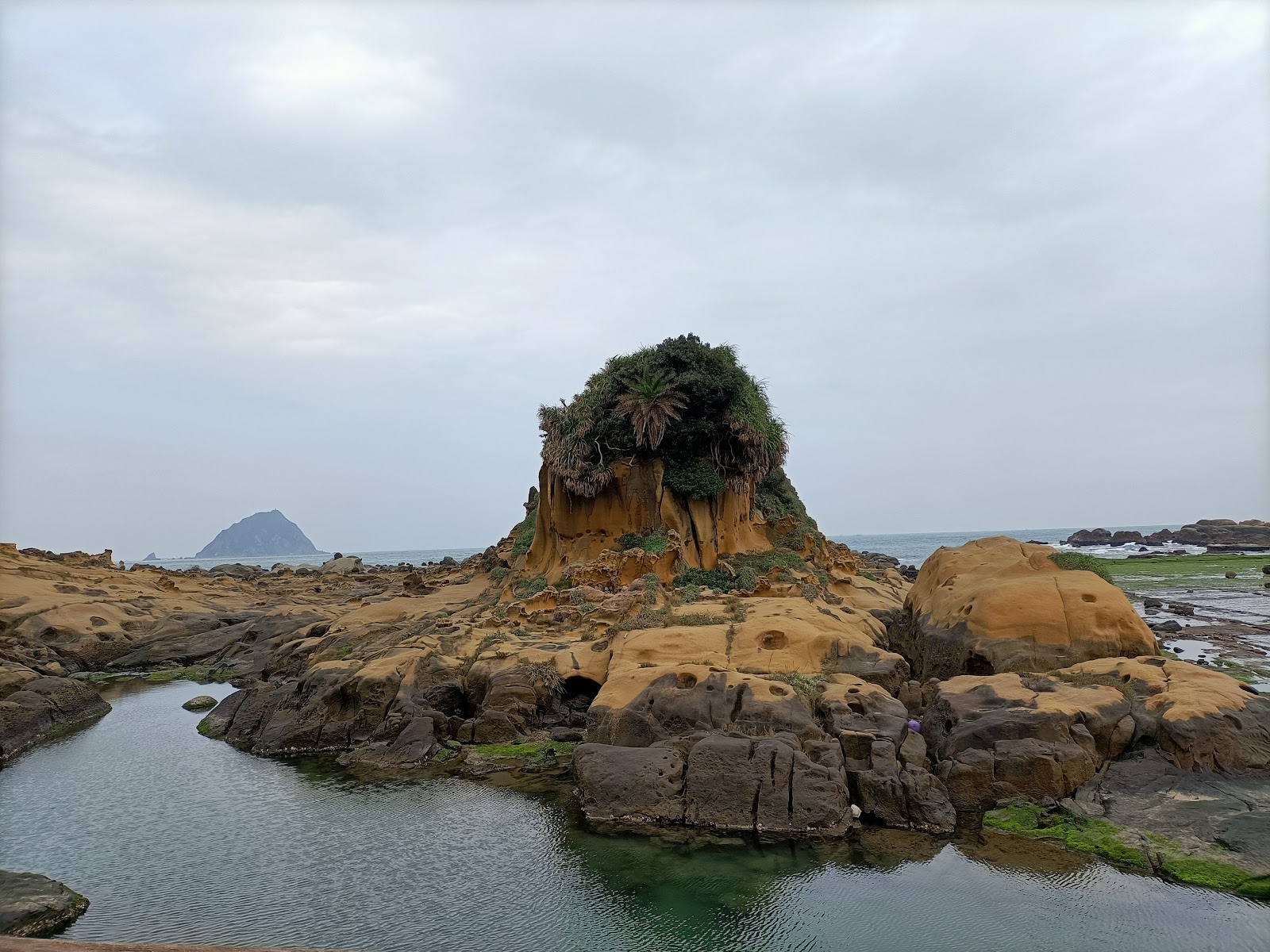 島中島礁岩矗立潮間帶頂部植被