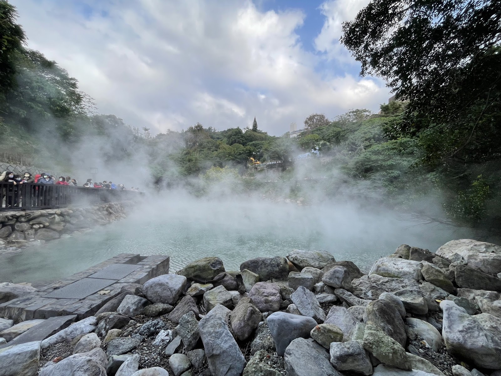 北投公園綠蔭步道，老樹與石板步道交織的療癒自然景致