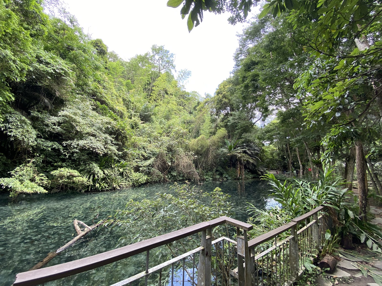 蓬萊溪護魚步道翠綠湛藍溪水，木棧欄杆，叢林環繞