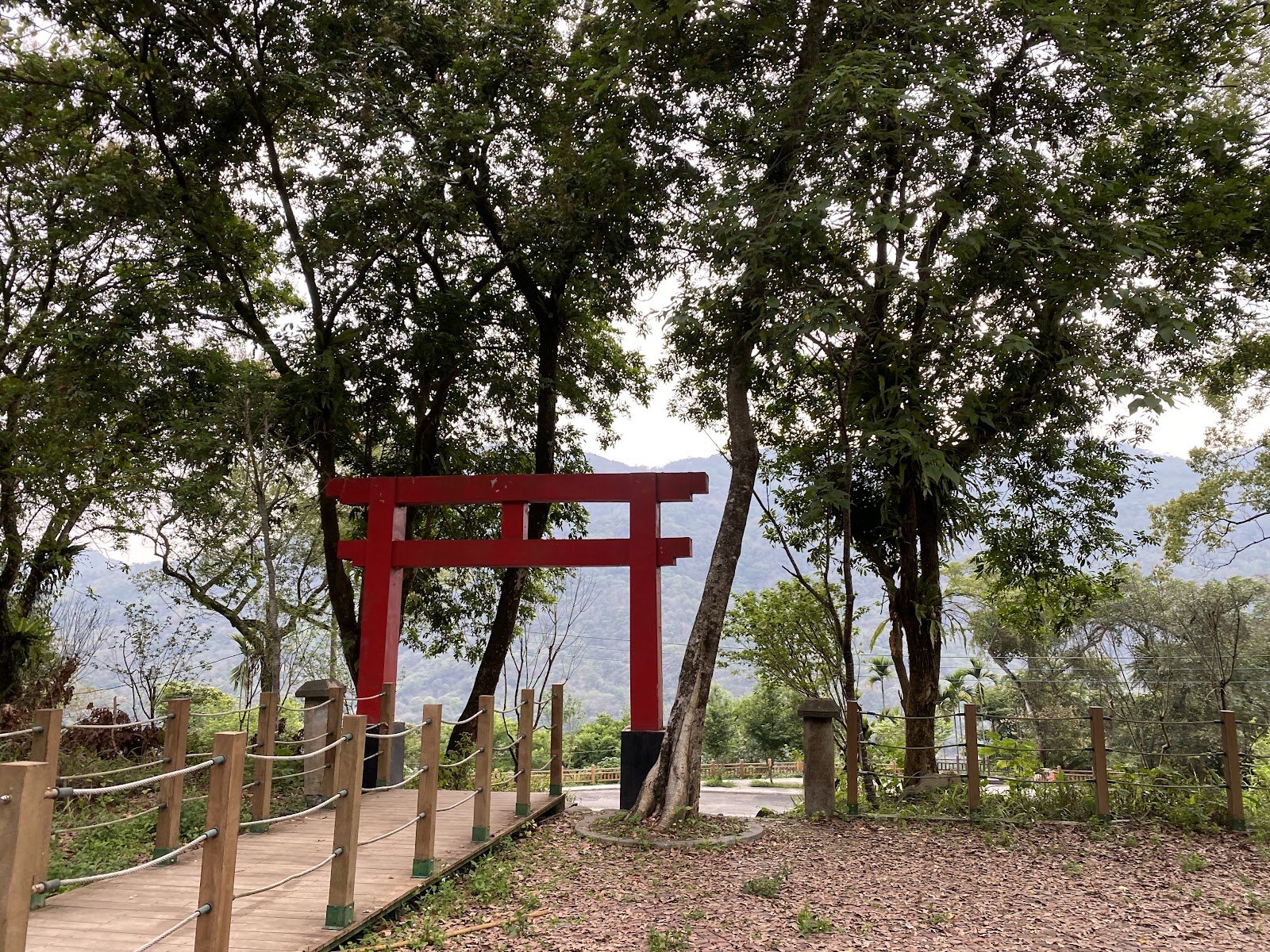 達卡努瓦賞螢步道鳥居林間綠意盎然