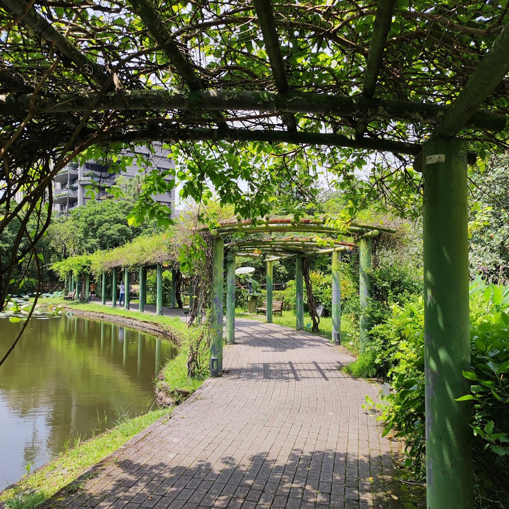 蜿蜒曲折的磚石步道，步道旁是池塘，兩側綠意盎然