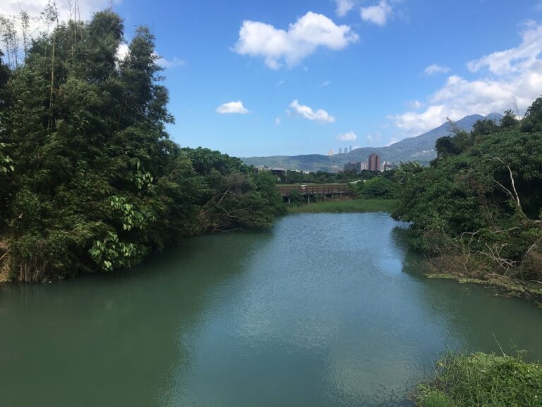 五分港溪河道兩側林木茂盛遠方可見城市與山景
