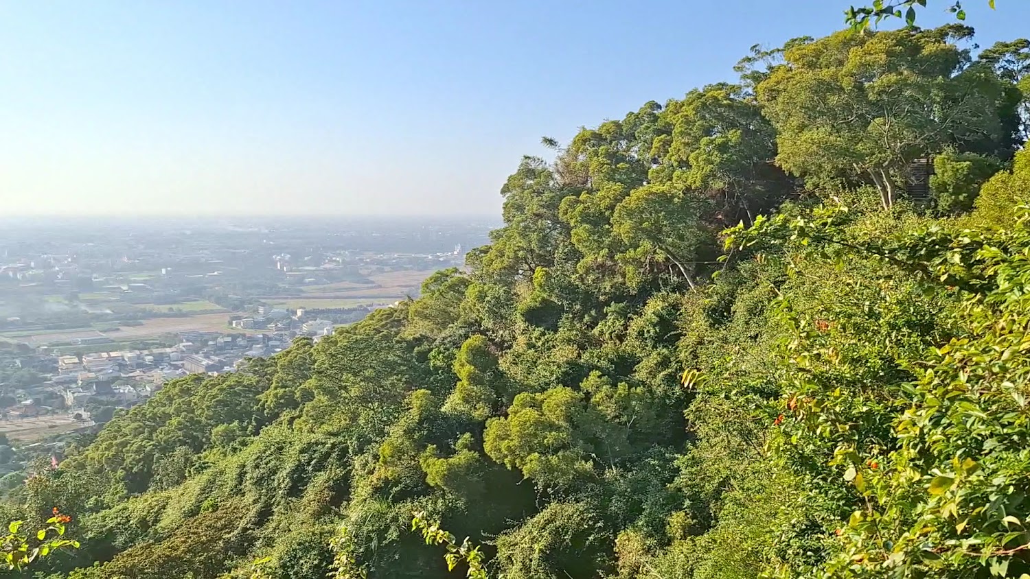 覆蓋綠樹的山丘與城市田野景觀