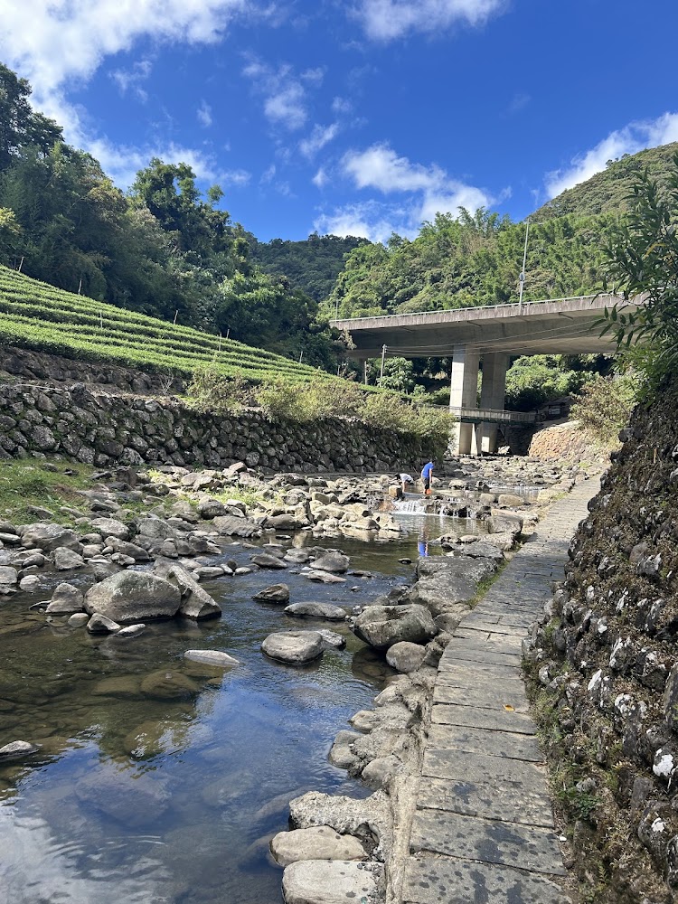 下坑子口溪親水遊憩區山間小溪與步道景觀