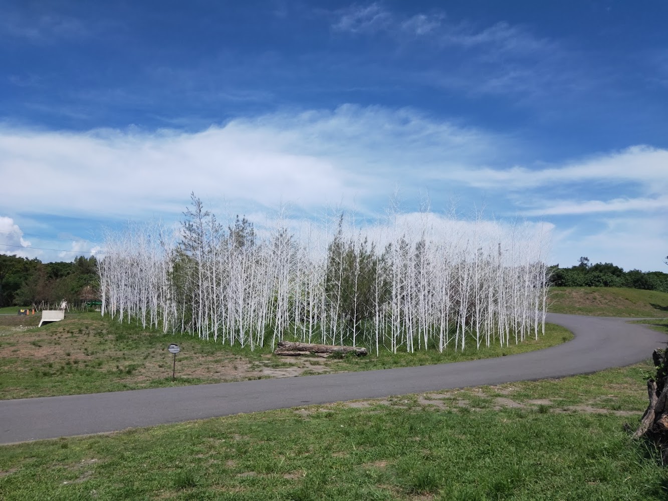 白色樹林藝術景觀