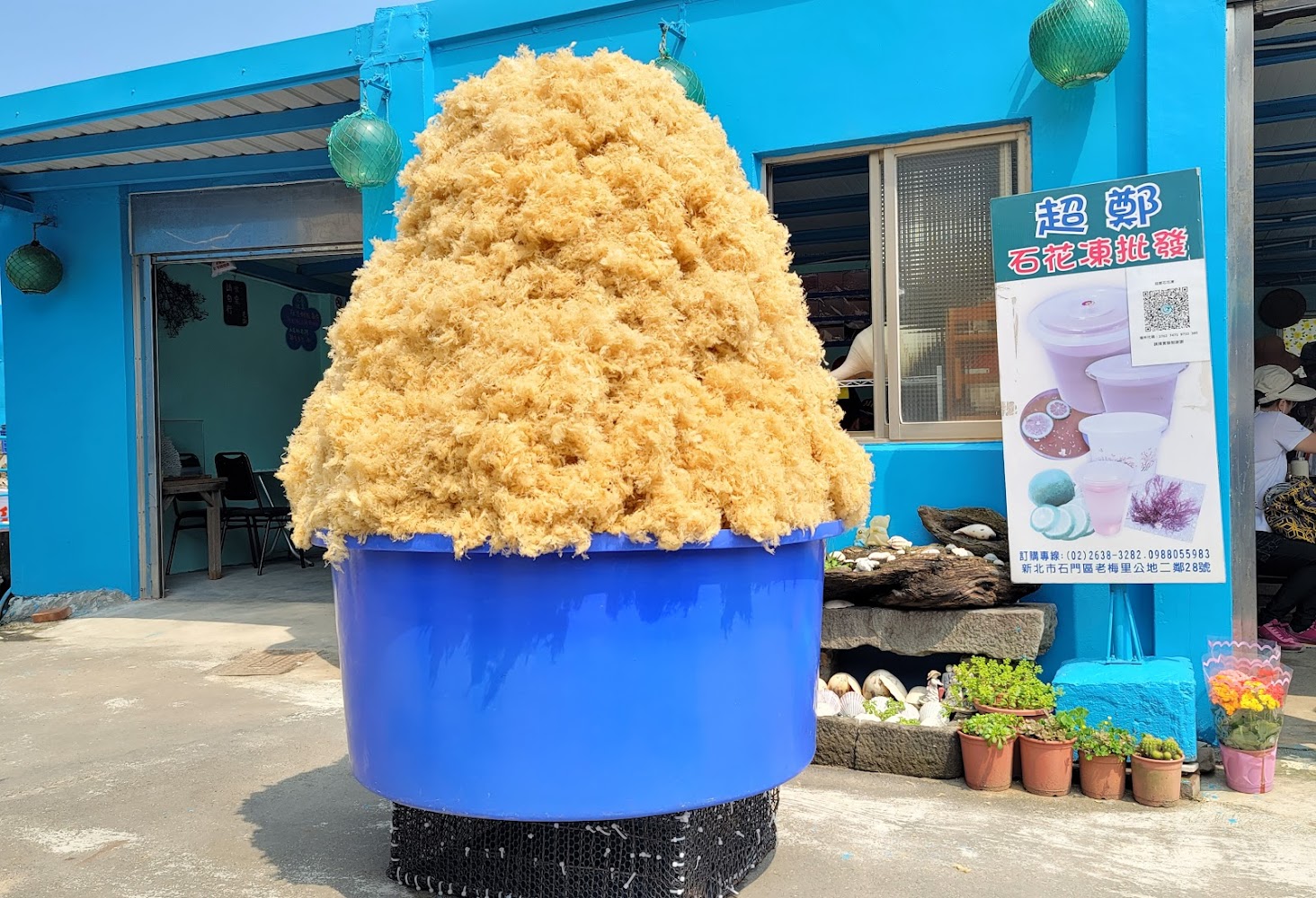 大桶中堆滿石花菜成品展示,旁邊有石花凍介紹招牌