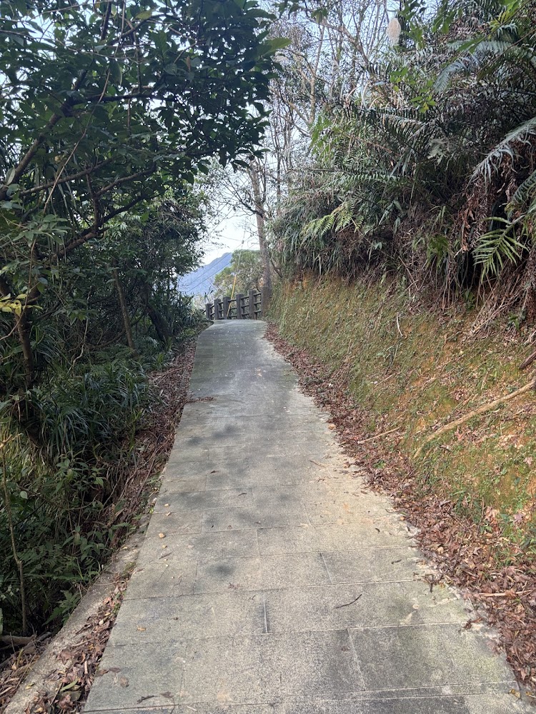 猴硐山間步道與綠色植被景觀