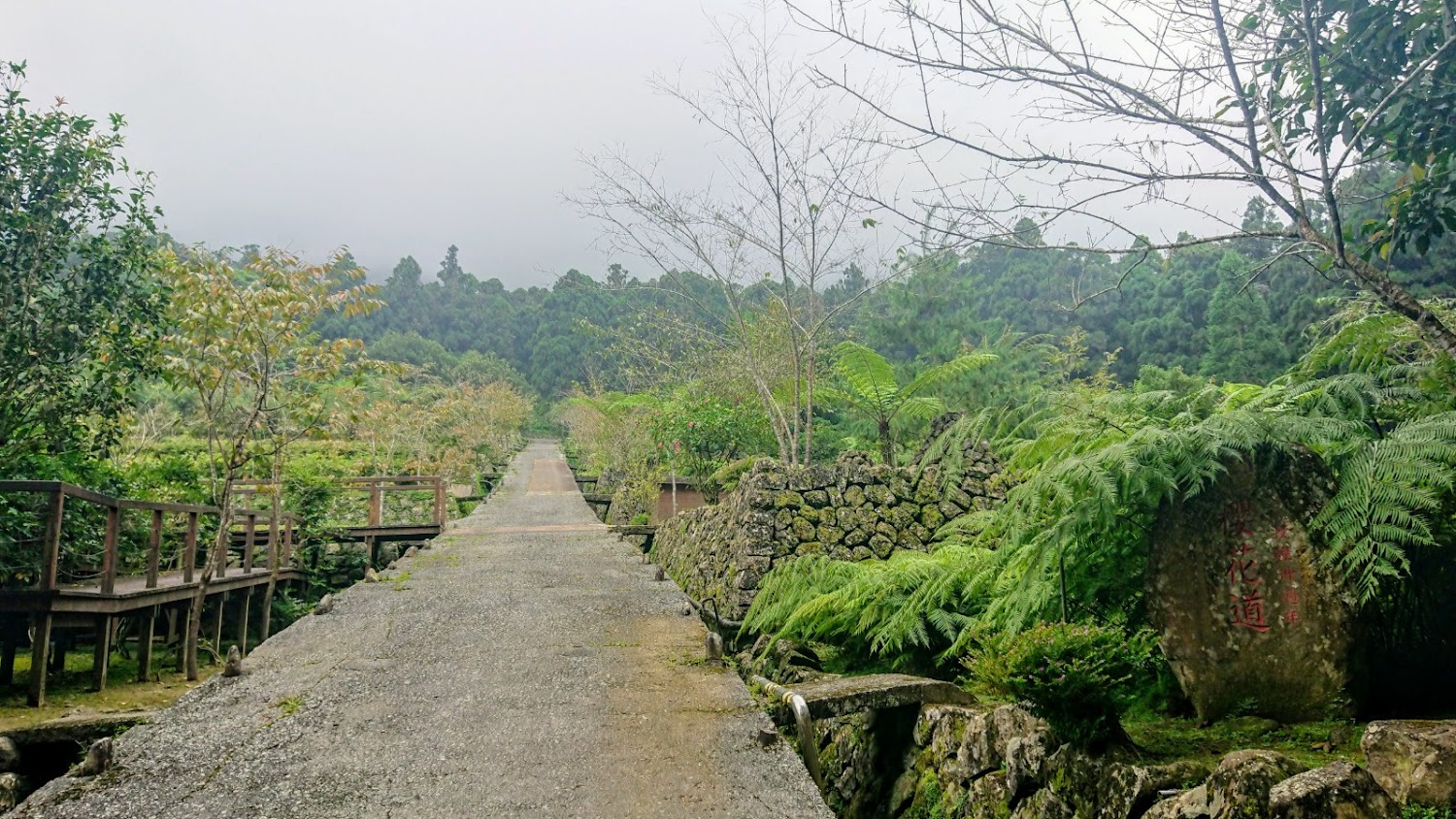 溪頭苗圃步道與石牆